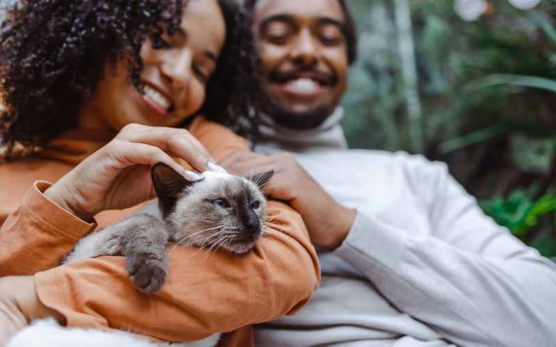 Happy couple playing with their cat at Hart Townes in Woodruff, South Carolina