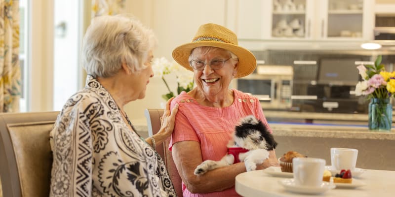 Haywood Estates Independent Living in Greenville, South Carolina