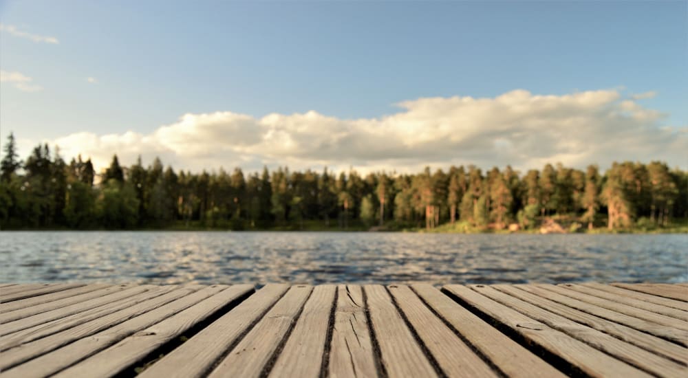 A dock on a lake surrounded by trees near Regency Apartments in Salt Lake City, Utah