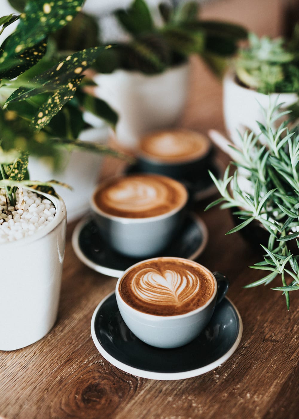 Two cups of cappuccino coffee with a leaf design in the foam on a wood table next to potted plants at Decker Apartment Homes in Ft Worth, Texas