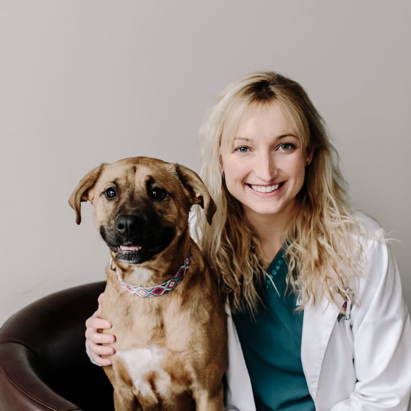 Alyce Schaefer, DVM at Tonawanda Veterinary Clinic