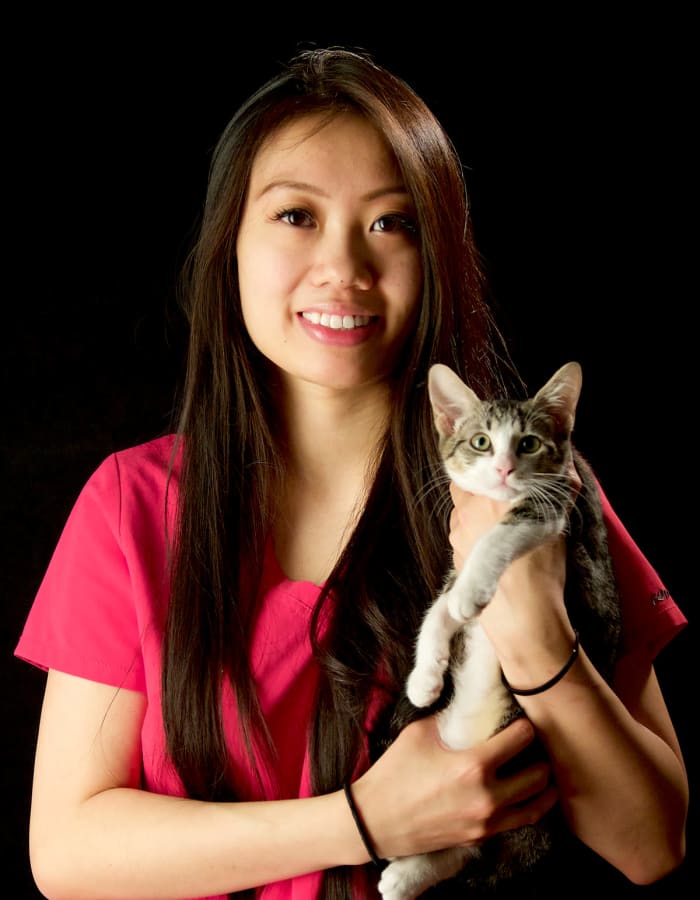 Amanda at Arizona Avenue Animal Clinic in Chandler, AZ