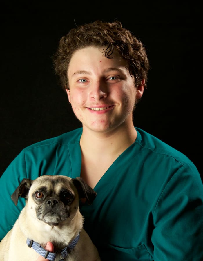 Cullen at Arizona Avenue Animal Clinic in Chandler, AZ