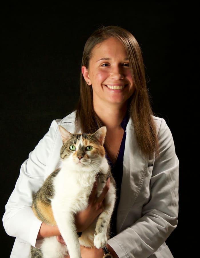 Dr. Jade Lanier at Arizona Avenue Animal Clinic in Chandler, AZ