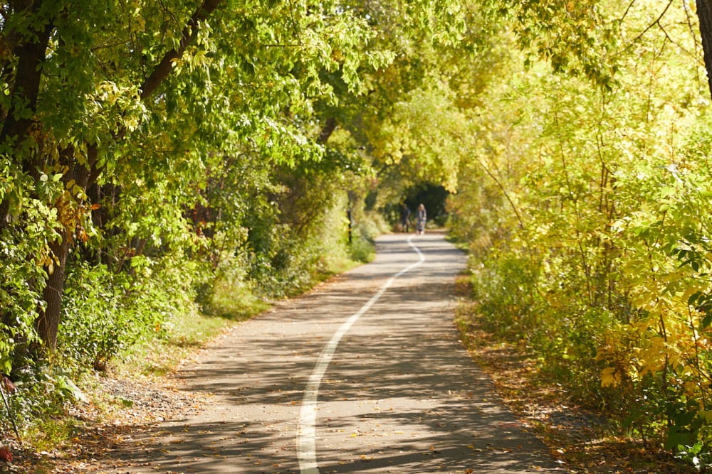 Treed walking path near Amira Choice Roseville at Lexington in Roseville, Minnesota