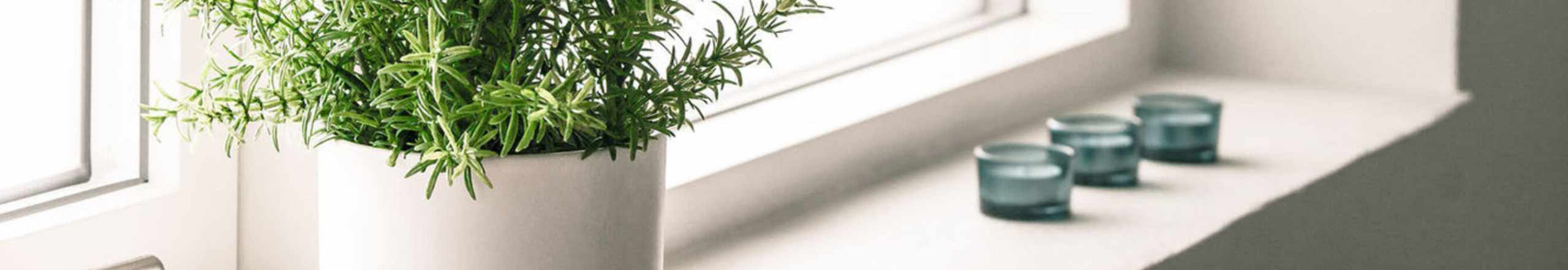 Gallery | 270 Huntington in Boston, Massachusetts