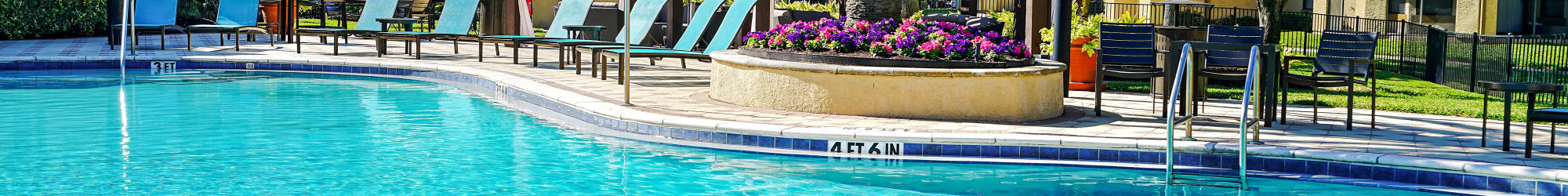 Reviews of our apartments in St. Petersburg, FL