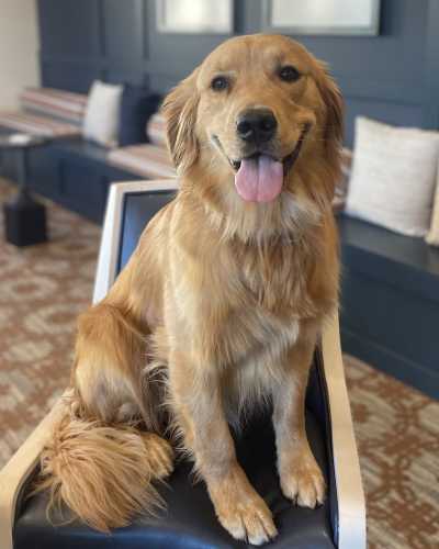 Louie - at The Pillars of Lakeville in Lakeville, Minnesota  