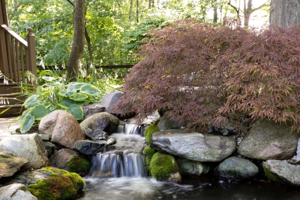 Small pond outside at Lakeshore Woods in Fort Gratiot, Michigan