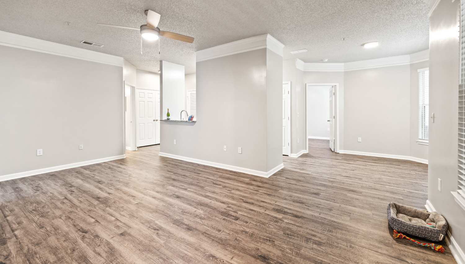 Empty living room with wooden floors, ceiling fan, neutral walls, open kitchen with white cabinets, and doorways to other rooms