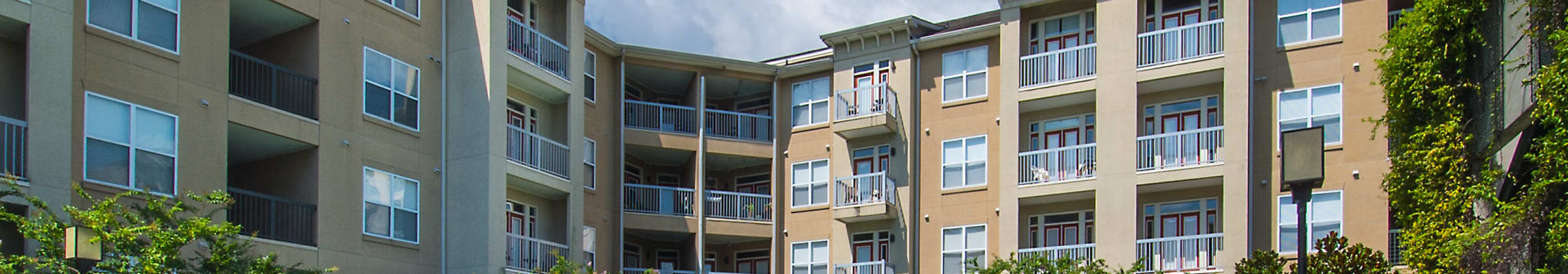 Pet friendly at Berkeley Heights in Atlanta, Georgia