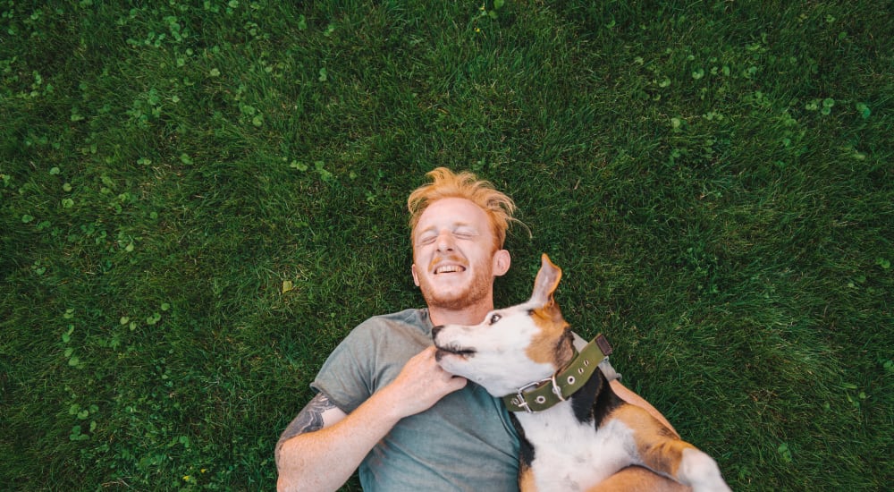 Resident with his dog at Lafayette Oaks in Lafayette, California