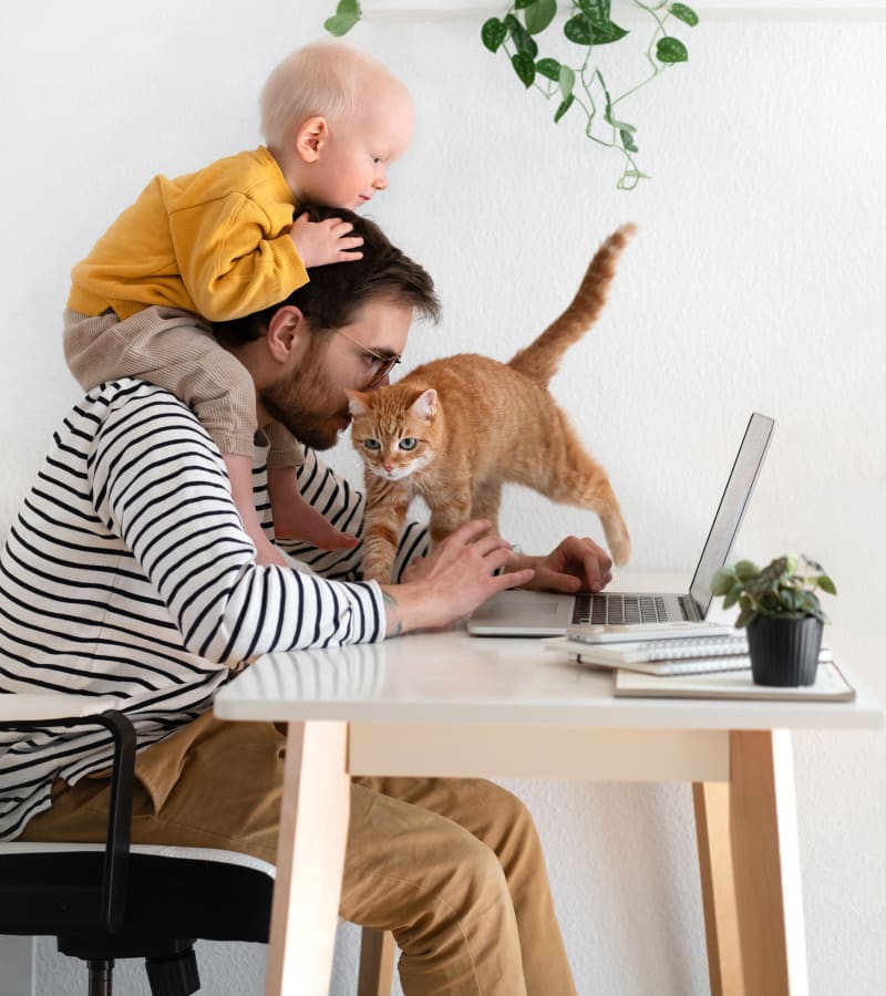 Apartments & Townhomes for Rent Mountain House, CA Aviara at Mountain