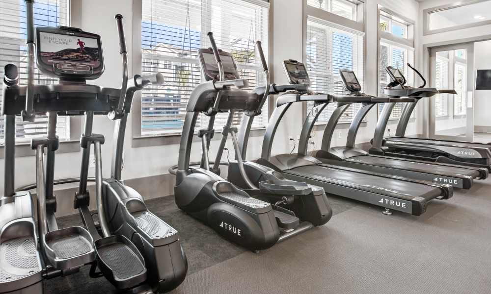 Fitness center at South City Apartments in Summerville, South Carolina 