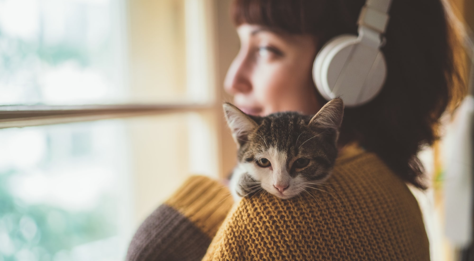 Pet-friendly apartments at The Fairways Apartment Homes in Lee's Summit, Missouri