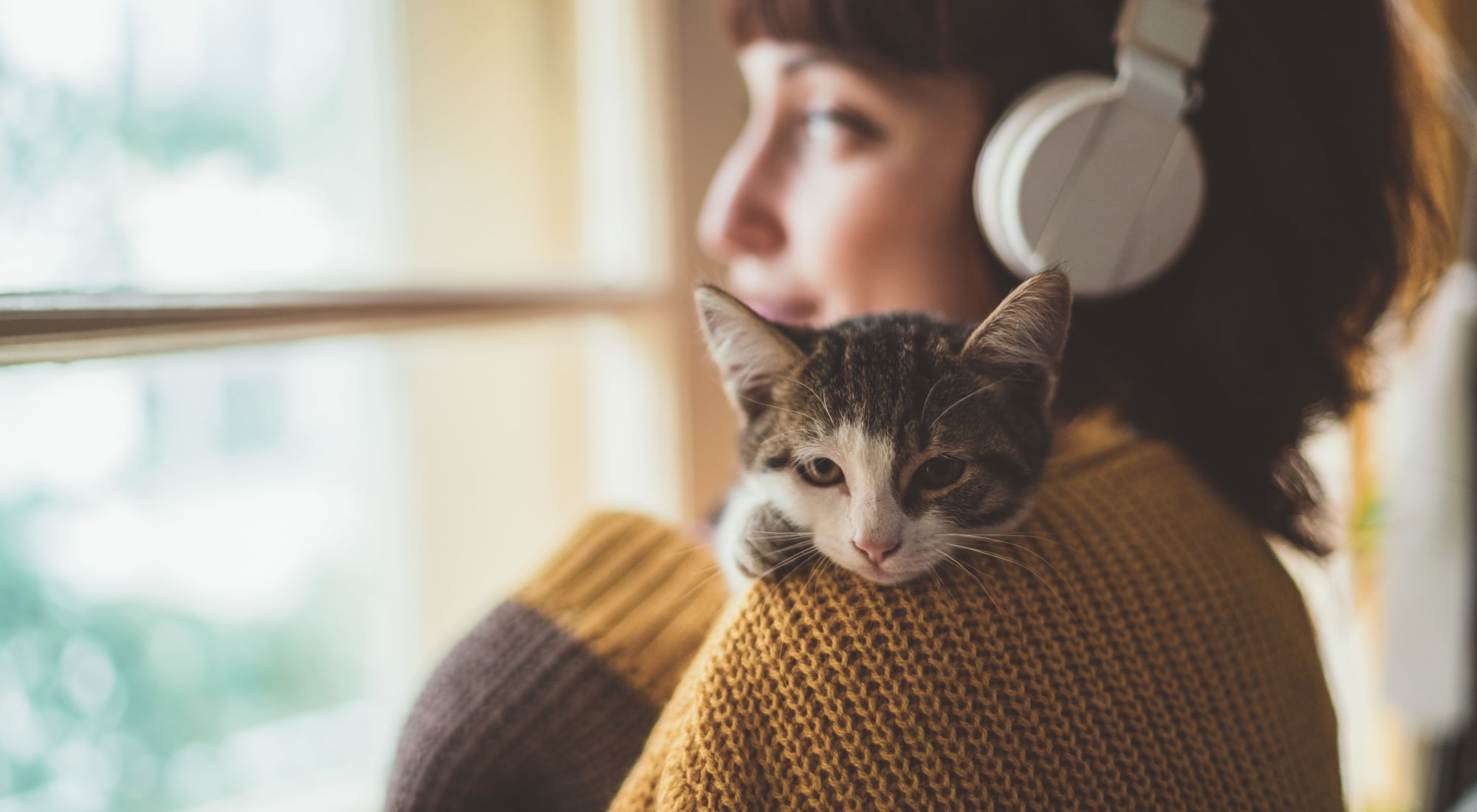 Pet-friendly apartments at Coach House Apartments in Kansas City, Missouri