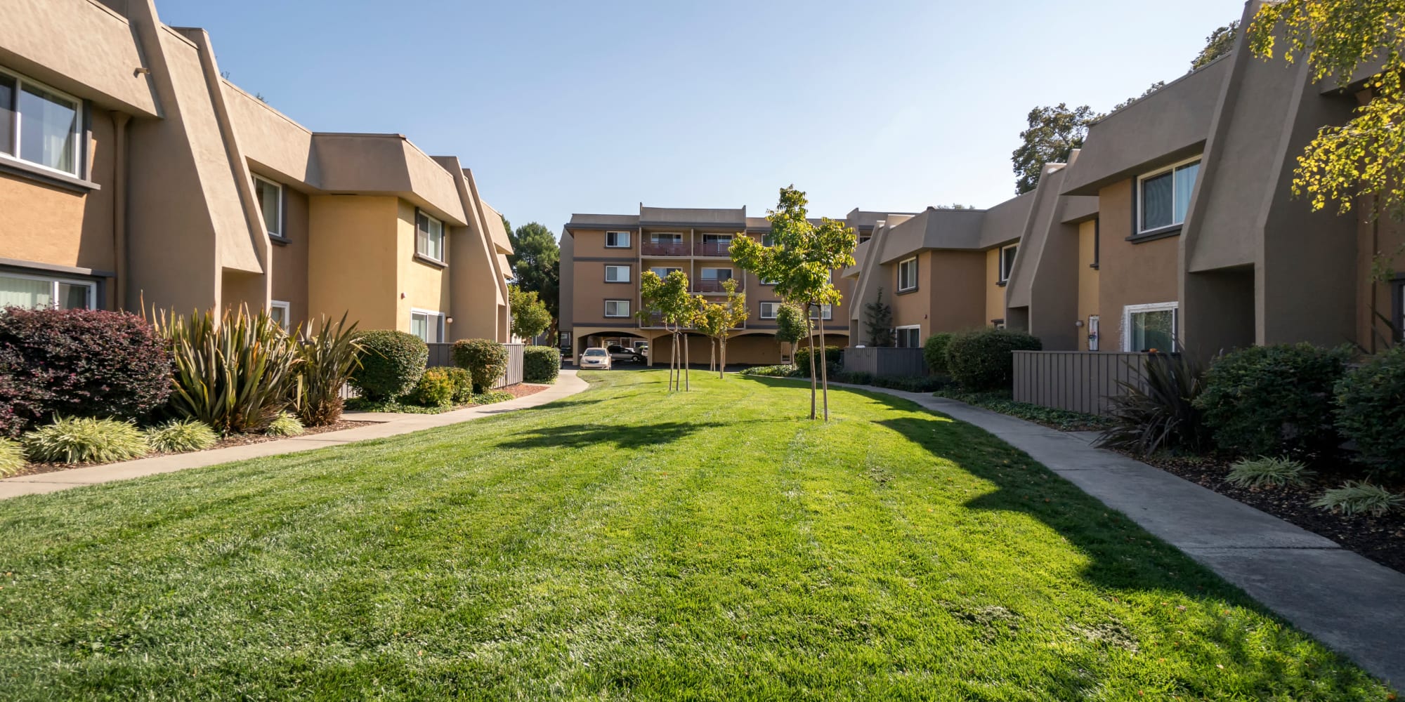 Apartments at Waterstone Fremont in Fremont, California