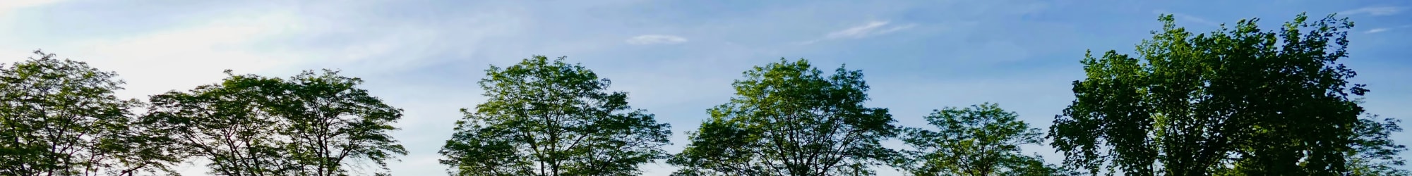 Amenities at Stony Brook Commons in Roslindale, Massachusetts