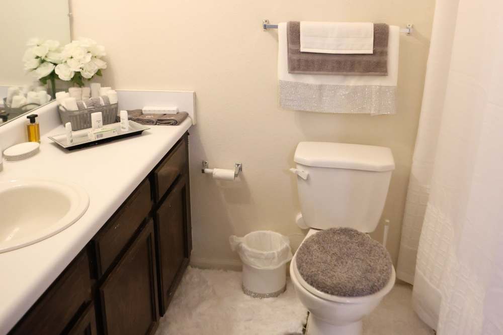 Bright bathroom at Arrington Estates of Clarksdale in Clarksdale, Mississippi