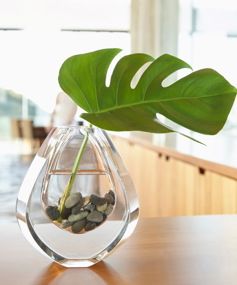 Monstera leaf in a tear drop shaped vase at Sofi Parc Grove in Stamford, Connecticut