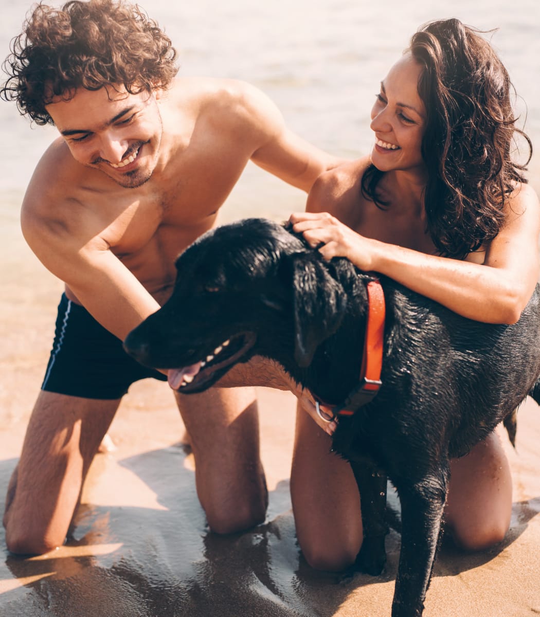 Residents and their dog playing at the beach near Aliro in North Miami, Florida