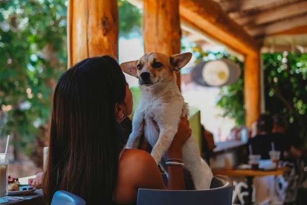 pet friendly restaurant