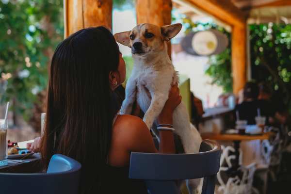 dog friendly patio