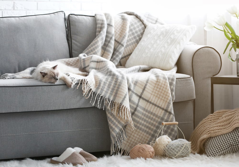 Cozy love-seat with blanket and a sleeping cat laying on top surrounded by an end table, and plush rug at Everwood at The Avenue in Murfreesboro, Tennessee