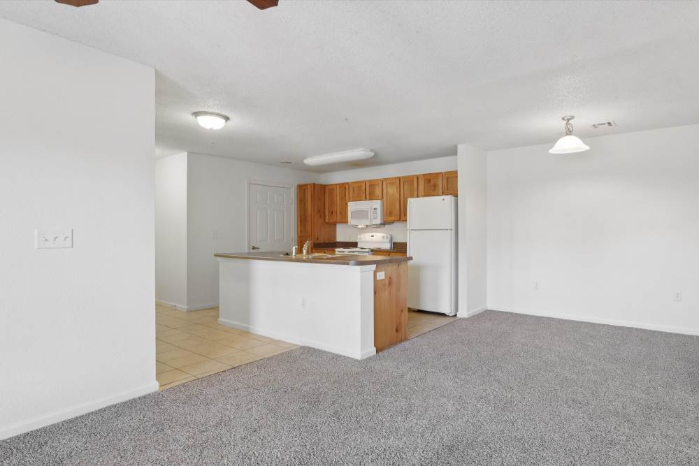 Charming modern kitchen with warm wood cabinetry and an inviting open layout at Covington Woods Apartments in Lansing, Kansas.