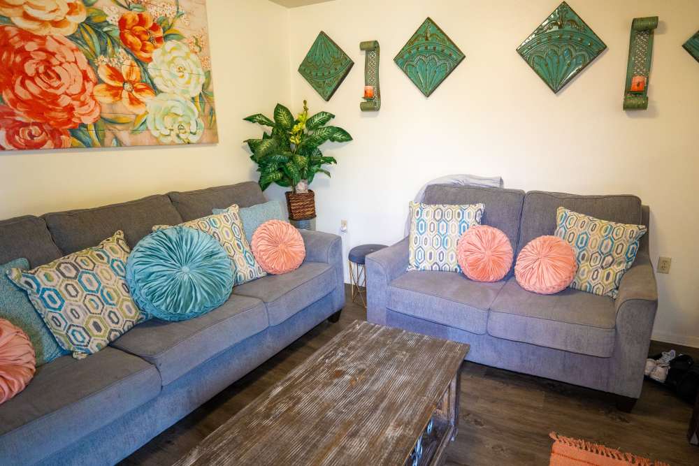 Cozy living room with two gray sofas, colorful pillows, and decorative wall art at Willowbrook I in Lafayette, Louisiana