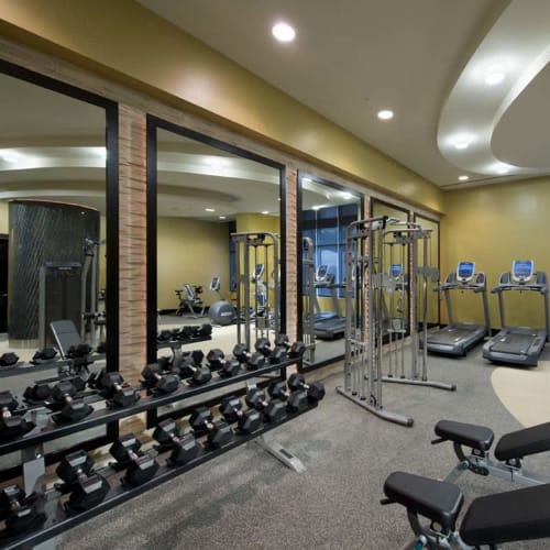 Gym at Solaire 1150 Ripley in Silver Spring, Maryland