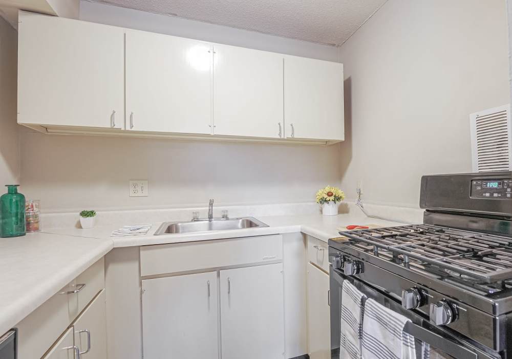 Kitchen with dishwasher at Courtyard Apartments in Columbia,Missouri