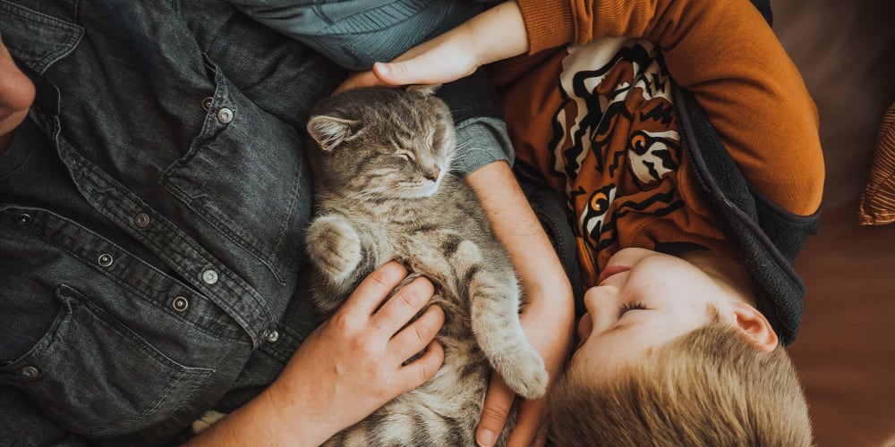 Resident and child petting at cat at Amber Grove Apartments in Marietta, Georgia