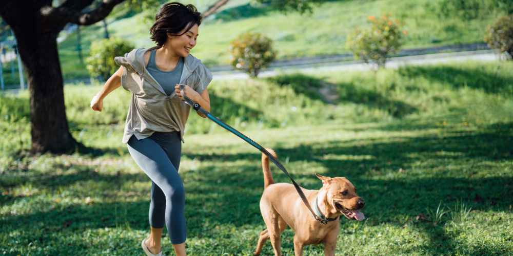 Pet friendly at Sangria Park in Austin, Texas