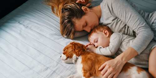 Residents napping with their dog at The Aurora Apartments in Sparks, Nevada