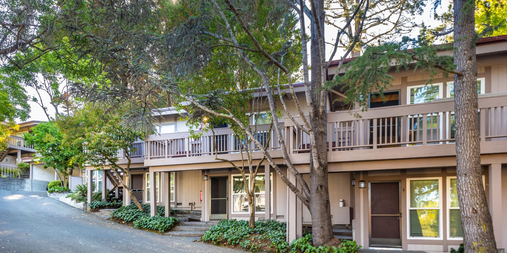 Exterior view with mature trees at  South Knoll in Mill Valley, California