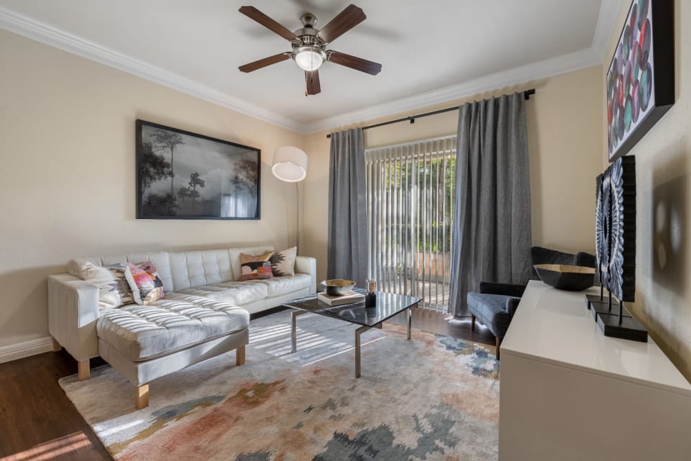 Modern and sleek living room with large rug on wood floor at Marquis at Kingwood in Kingwood, Texas