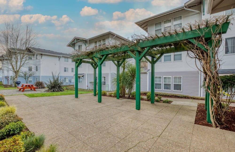 Courtyard at Fern Ridge Place in Olympia, Washington