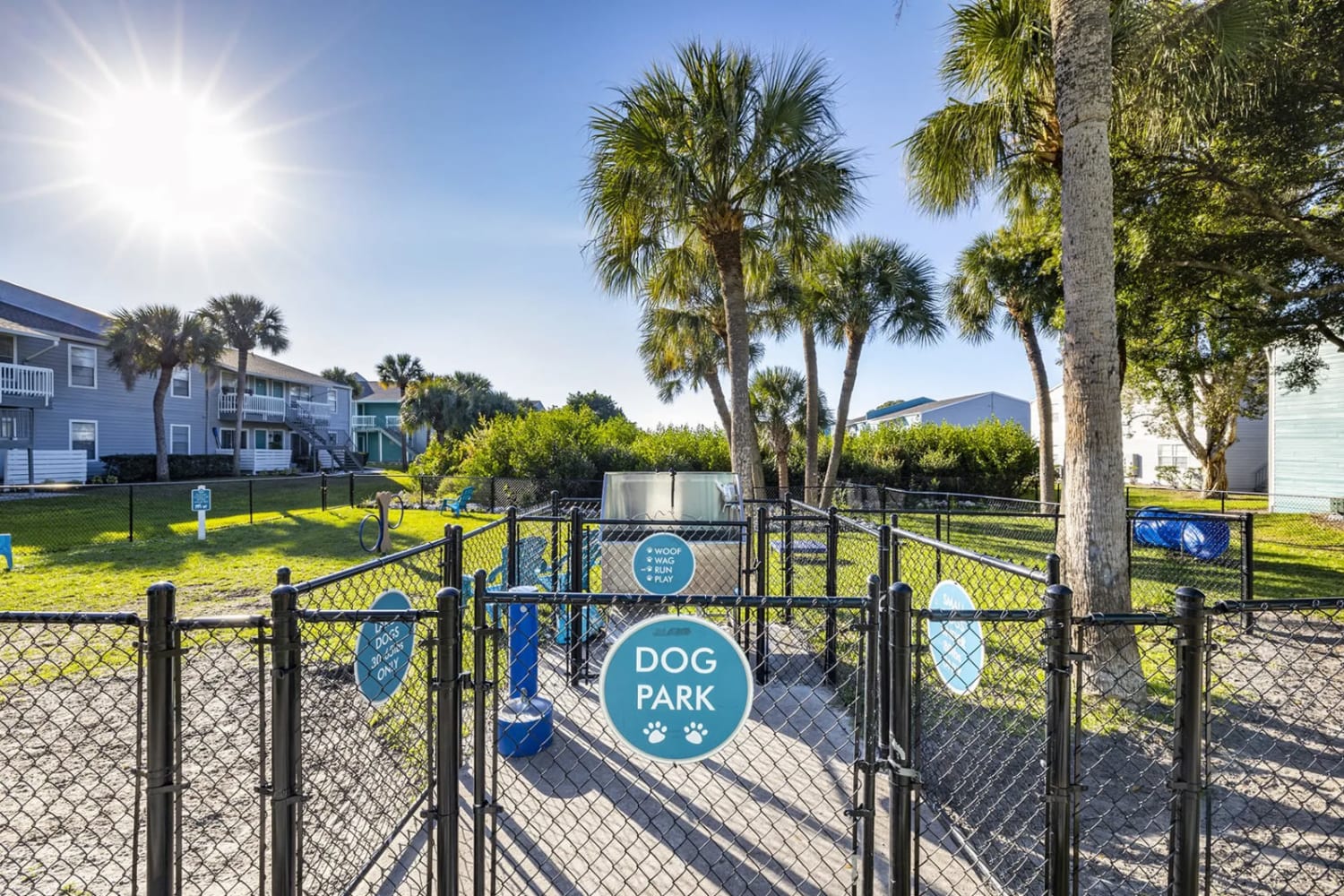 Take your pup for a walk in our on-site dog park at The Delmar in Tampa, Florida