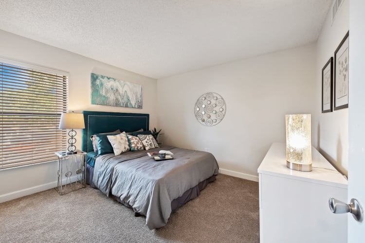 Spacious model bedroom with plush carpeting at Meadow Walk Apartments in Miami Lakes, Florida