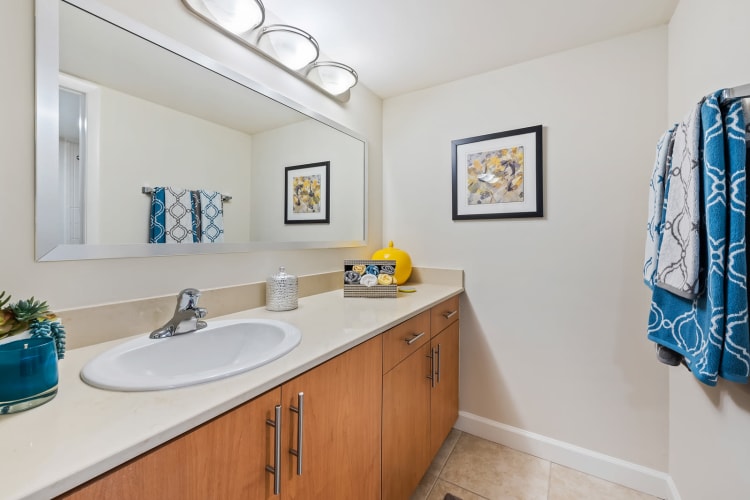 Model bathroom with expansive cabinetry at Meadow Walk Apartments in Miami Lakes, Florida