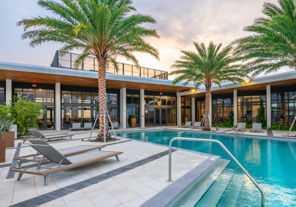 Resort-style swimming pool with palm trees at Motif in Fort Lauderdale, Florida