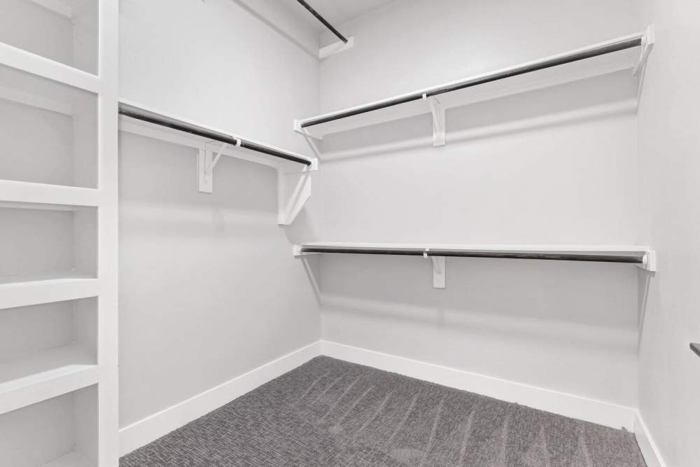Walk-in closet with shelf and carpet flooring at Kade in Dallas, Texas