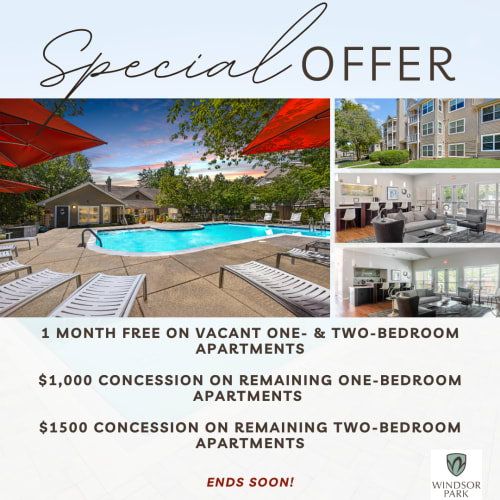 Specials at Windsor Park in Woodbridge, Virginia