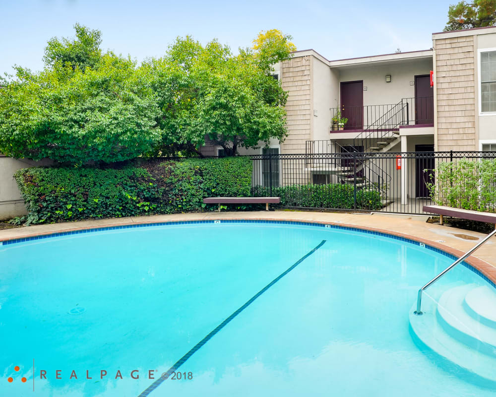 Spacious pool at Adelaide Pines in Concord, California