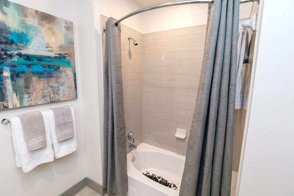Model bathroom with shower and tub combination at Argon in Oklahoma City, Oklahoma