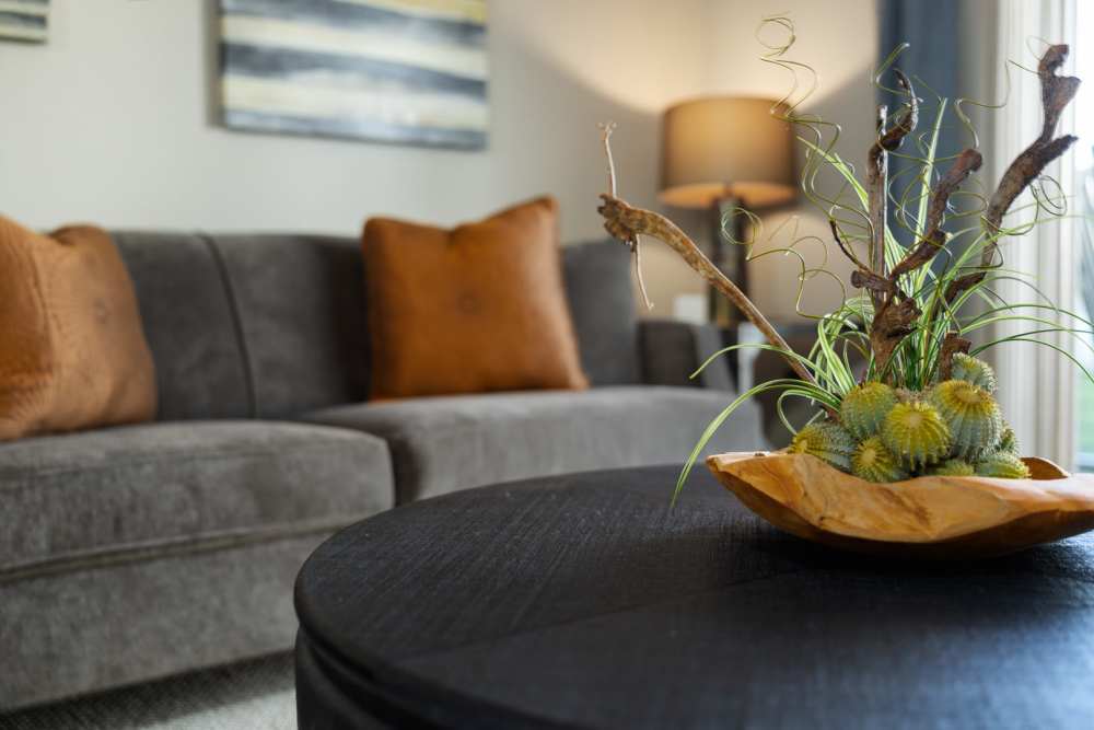 Plant on a coffee table in a living room at University Commons in Williston, North Dakota
