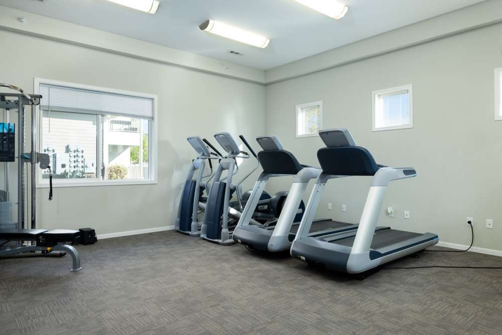 Fitness center with various equipment at Regency Apartment Homes in Williston, North Dakota