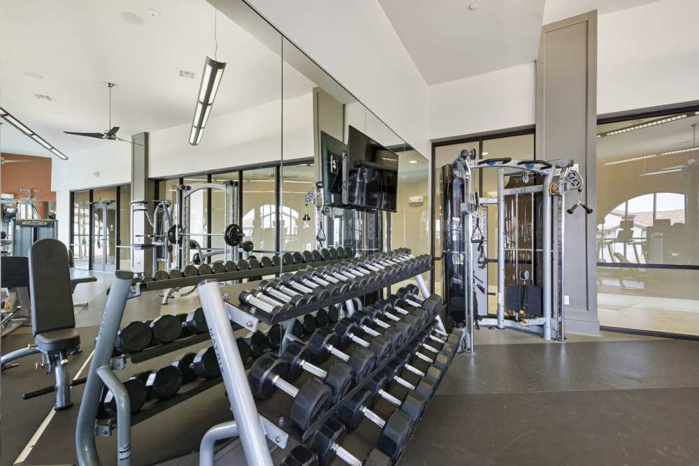 Fitness center withh dumbbells rack at Domain Memorial in Houston, Texas