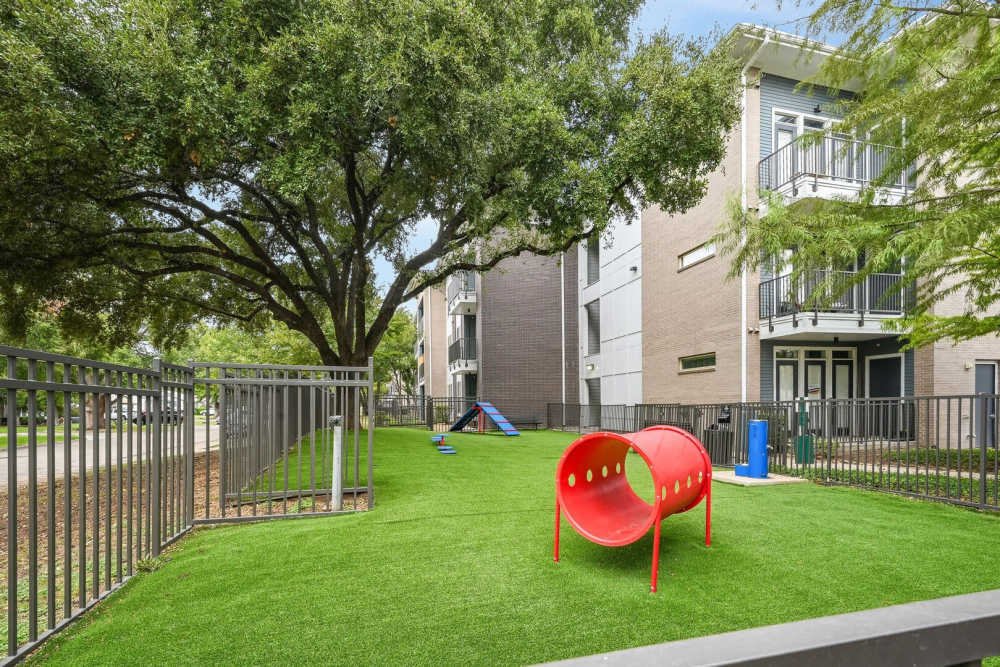 Bark park with pet activity at Kade in Dallas, Texas